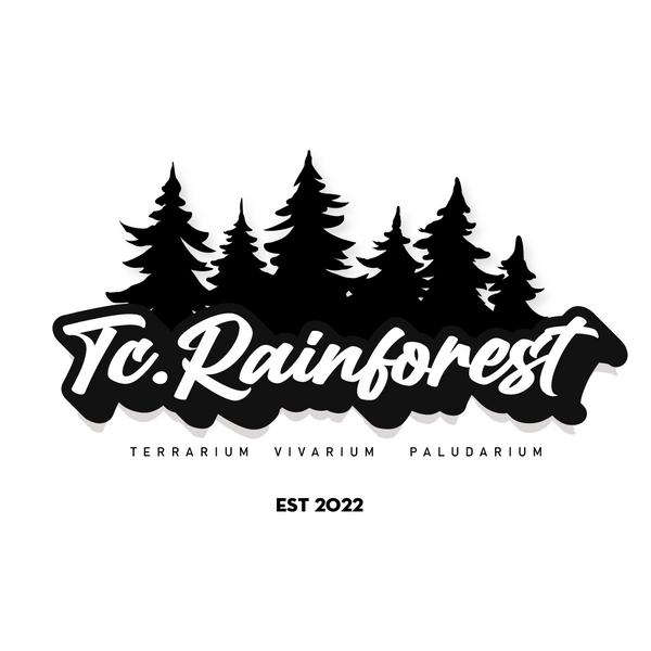 Tc.Rainforest